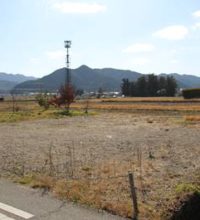 丹波篠山市池上